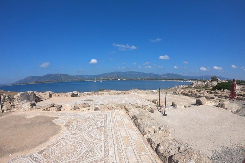 Private Half-Day Trip from Cagliari to Nora Ruins