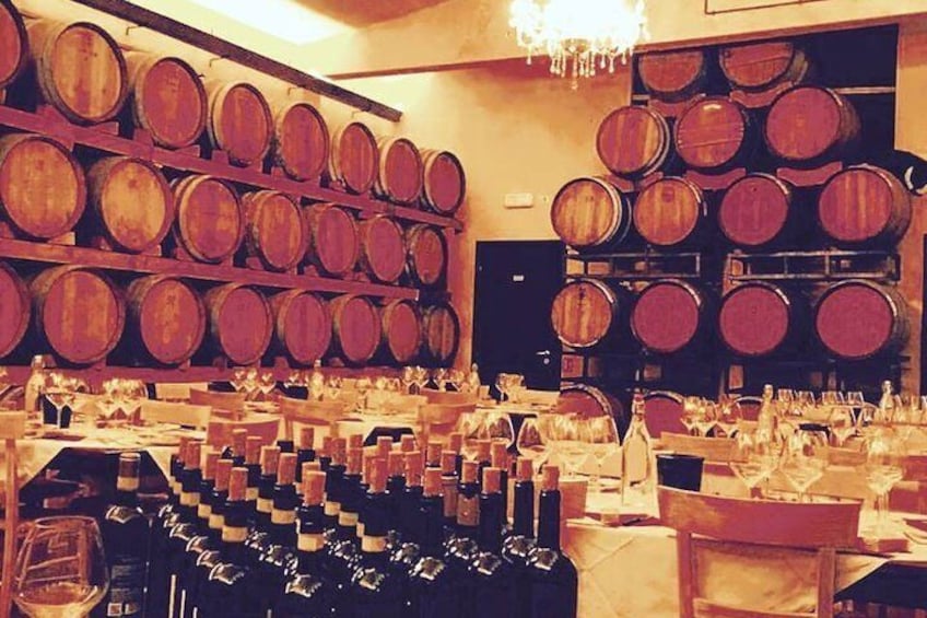 Private Chianti Wine Tour with Lunch, a Visit of San Gimignano, Organic Wineries