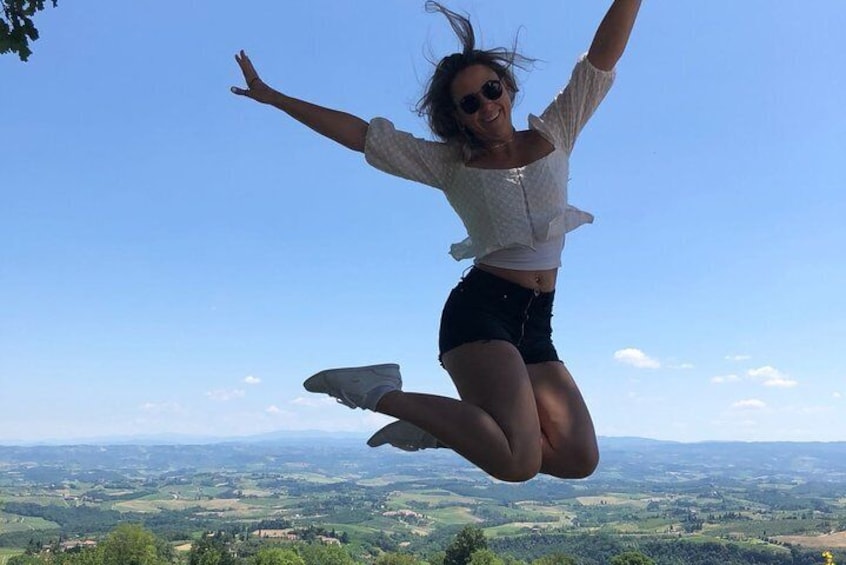 Private Chianti Wine Tour with Lunch, a Visit of San Gimignano, Organic Wineries