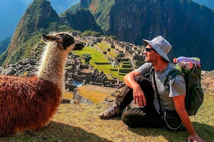 Entrance Ticket to Machu Picchu + Private Tour Guide
