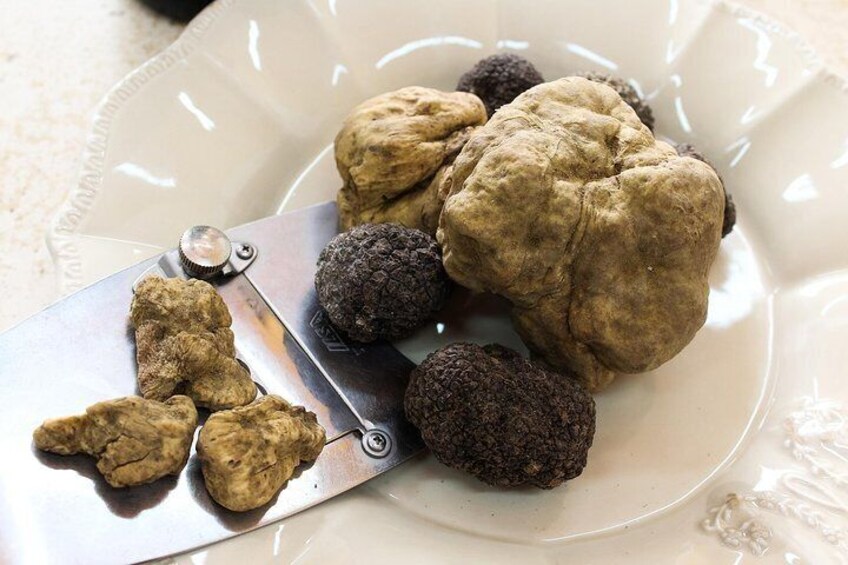 Truffle Hunt, Cooking Class & Wine Tasting