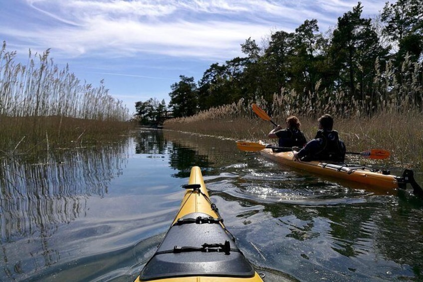 Stockholm Archipelago Kayak Tour - 2 Days - True Nature Sweden