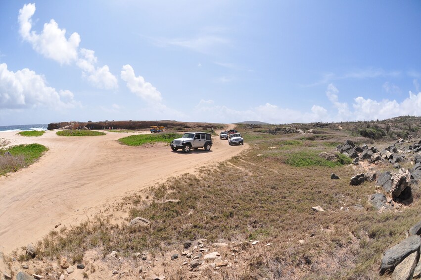 Full-Day Island Adventure