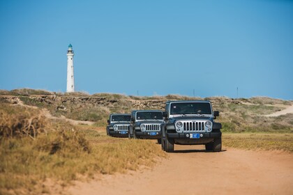 Wet & Wild Full-Day Jeep Safari with Catamaran Tour & Lunch