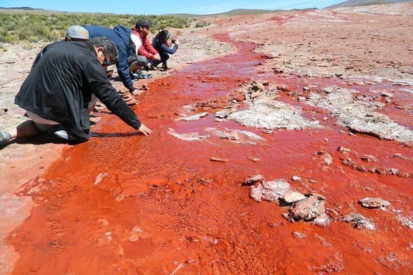 Red Lagoon Tour