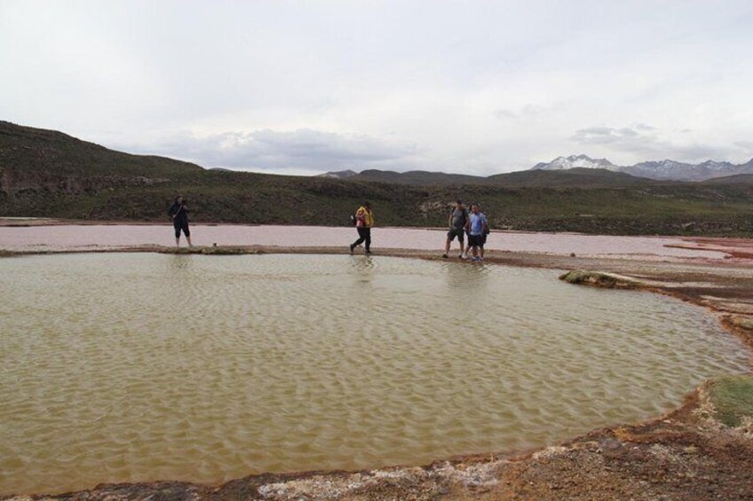 green lagoon