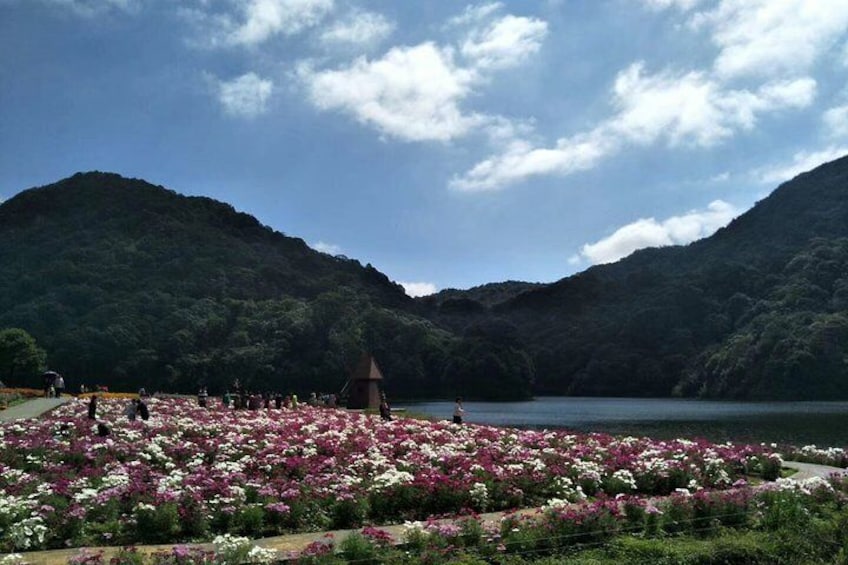 Private Day Tour to Shimen National Park from Guangzhou + Seasonal Fruit Pickup