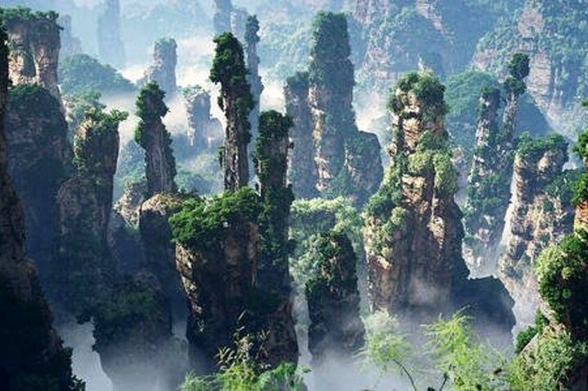 2-Day Zhangjiajie Avatar Mountain Private Tour from Guangzhou By Air