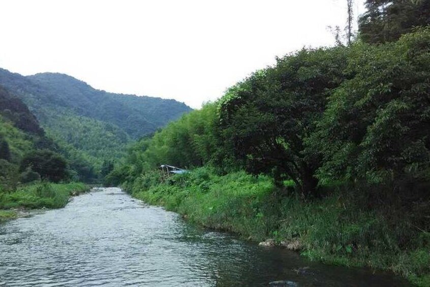 Private Hiking Day Tour around Xitou Village from Guangzhou