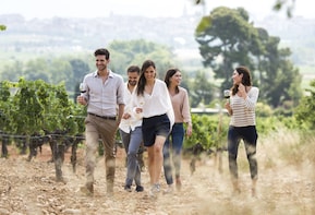 Montserrat, Torres Wine Cellars & Sitges with Brunch