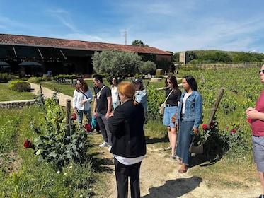 Familia Torres Winery: Gastronomic Tapas & Wine Experience