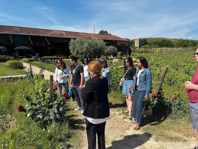Familia Torres Winery: Gastronomic Tapas & Wine Experience