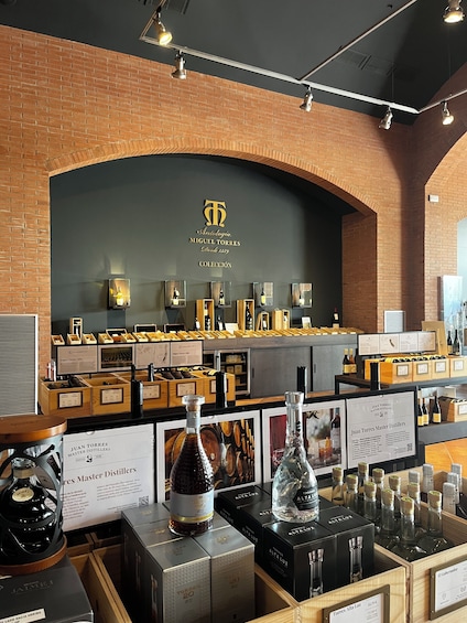 Familia Torres Winery: Gastronomic Tapas & Wine Experience
