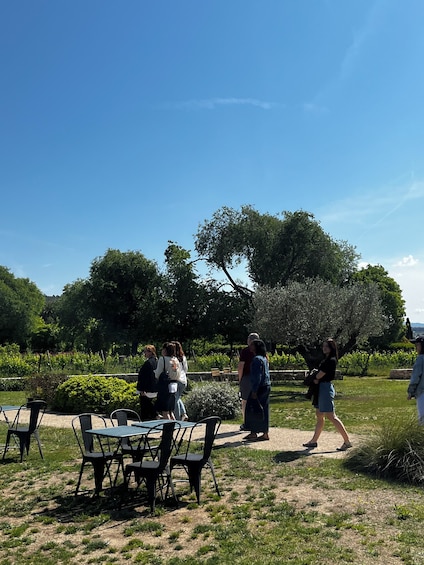 Familia Torres Winery: Gastronomic Tapas & Wine Experience