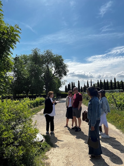 Familia Torres Winery: Gastronomic Tapas & Wine Experience