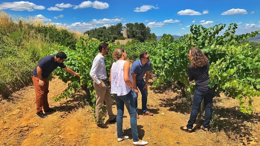 Wine & Sparkling Wine Premium Tour