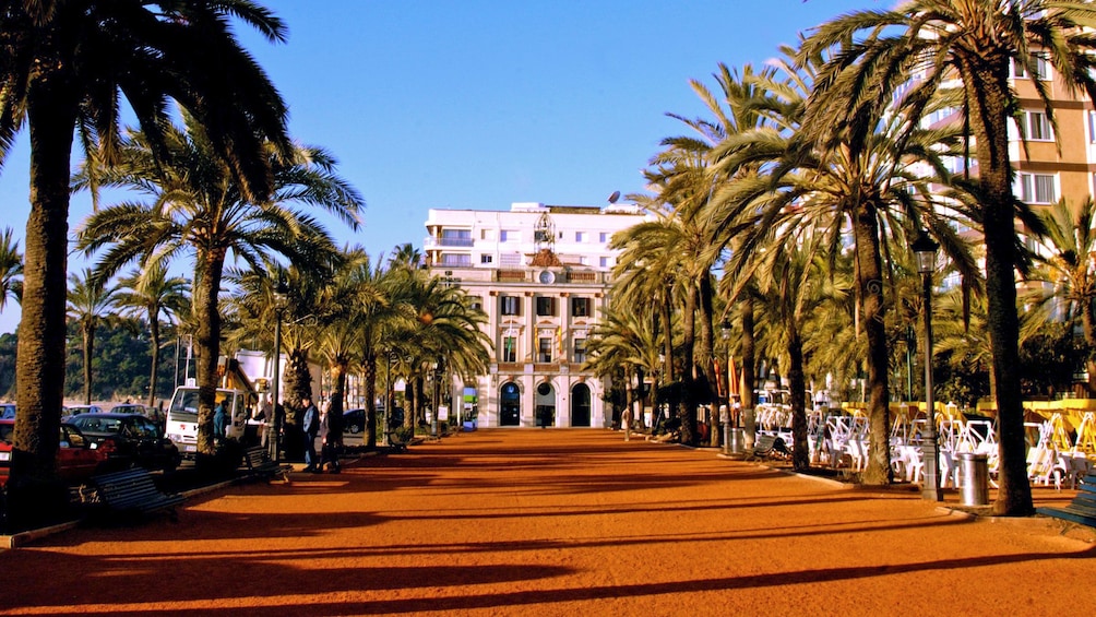 palm trees along a red sandy walk path in Barcelona