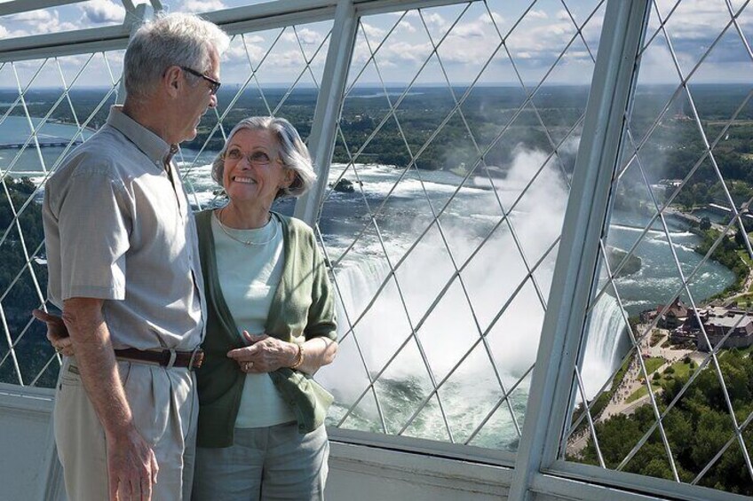 View From Skylon Tower