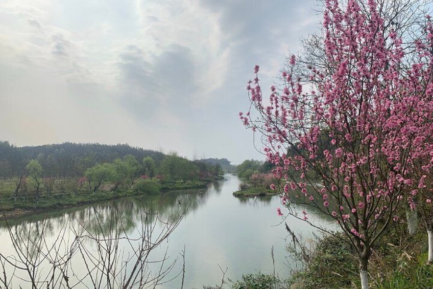 Private Day Tour to Taohuayuan National Park from Changsha