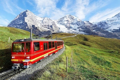 Jungfraujoch (Private Tour)