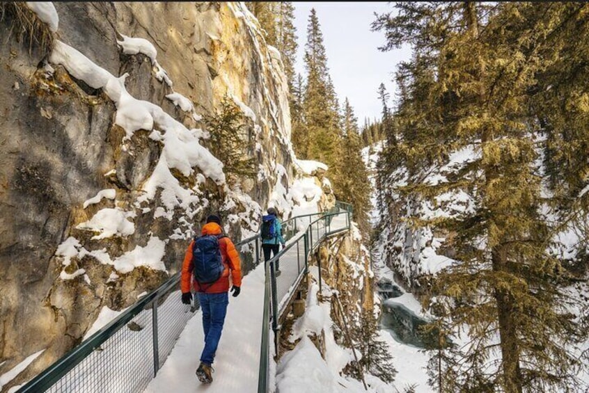 Winter Johnston Canyon