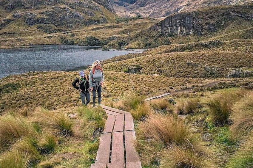 Private Cajas National Park Half-Day Tour from Cuenca