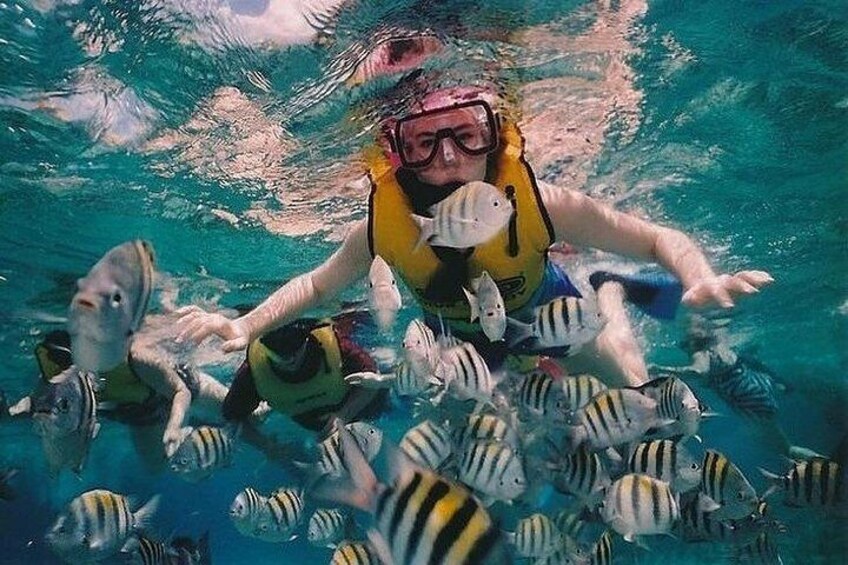 Be surrounded by fish