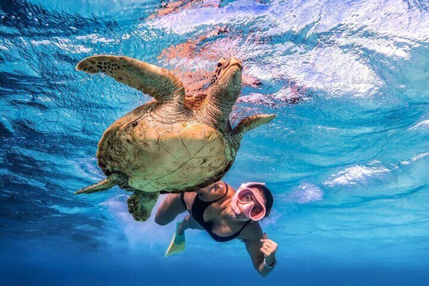Snorkel Cook Islands