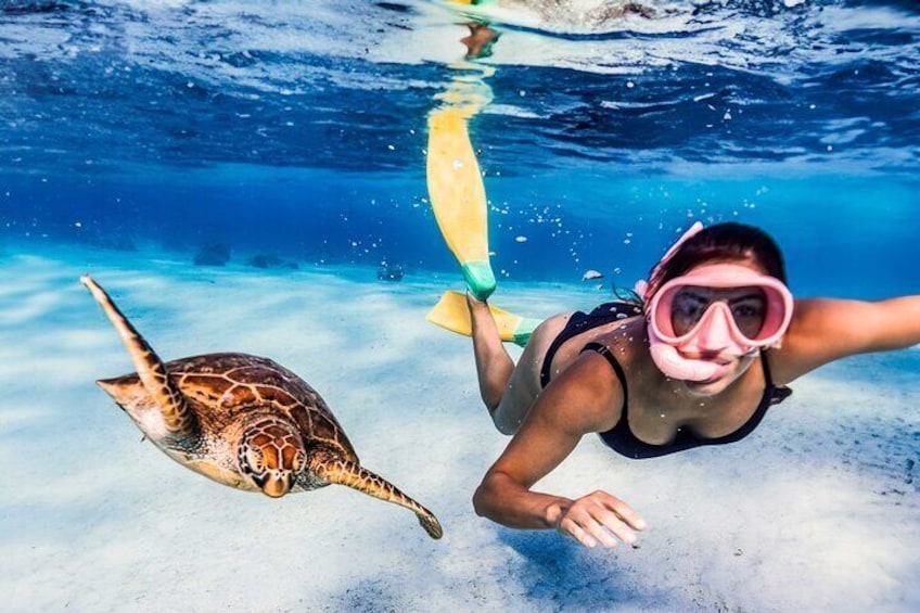 Snorkel Cook Islands