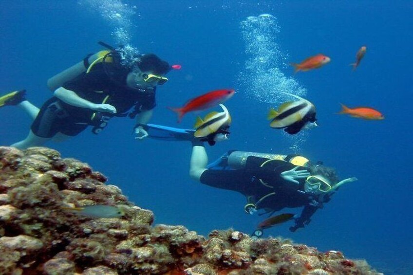 Coral Garden Amazing Snorkeling Sea Trip & intro dive - Marsa Alam