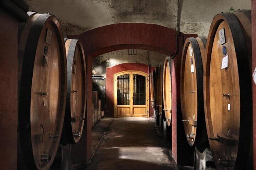 Amazing old wine cellar