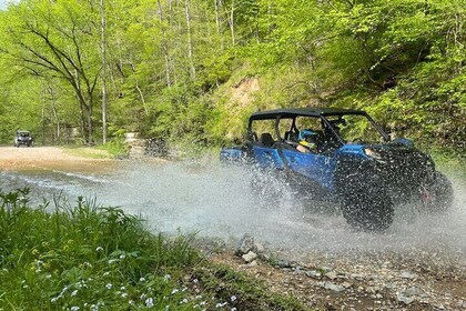 4 Hour Back Country Can-Am Experience