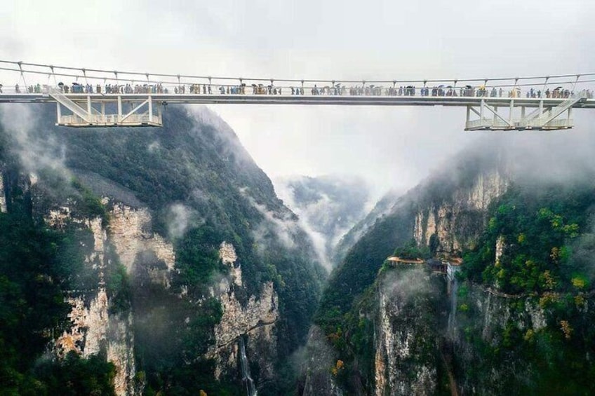 Zhangjiajie Grand Canyon and Glass Bridge Ticket