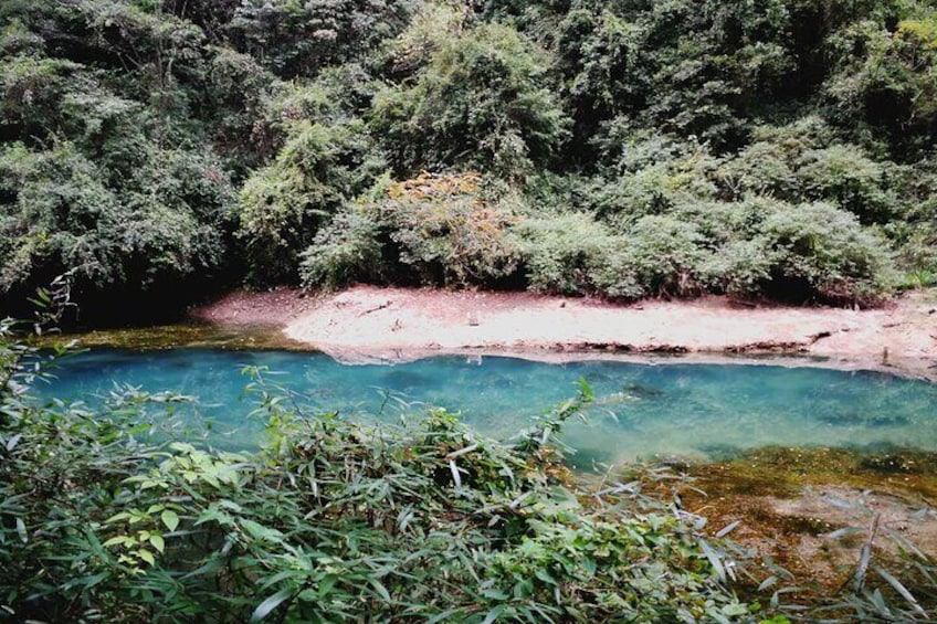 Forests and blue creek in the valley