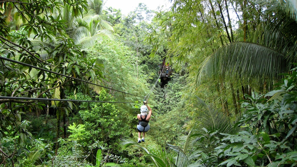 ziplining towards a canopy in the rainforest in Antigua