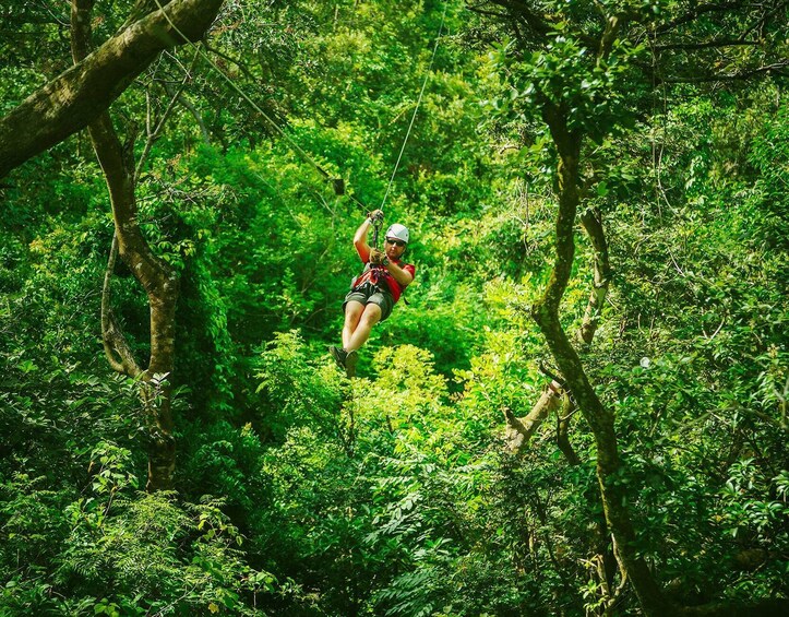 Antigua Rainforest Zipline Adventure