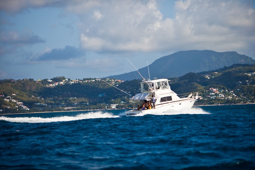 Deep Sea Sport Fishing Tour