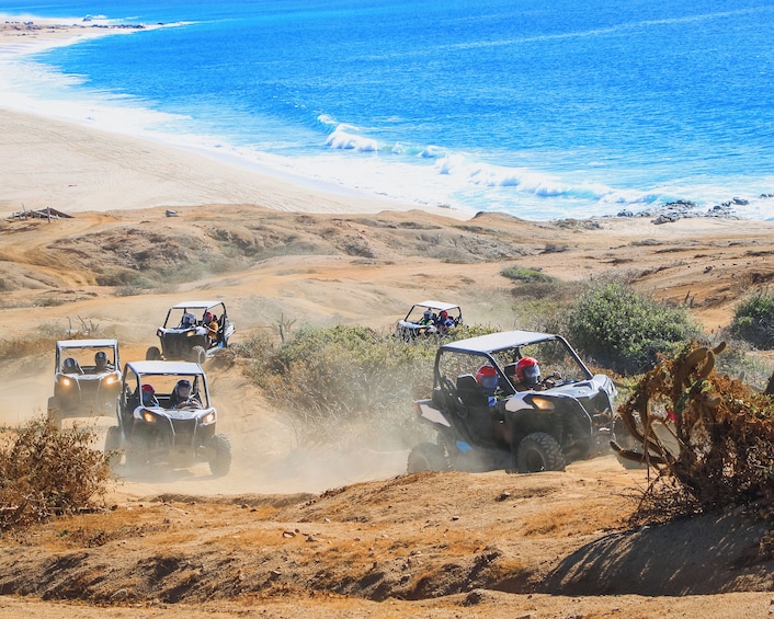 Beach & Desert UTV Tour in Cabo by Cactus Tours