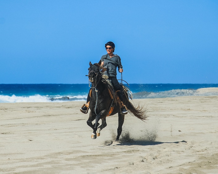 Beach Horseback Ride Beach and Dune in Los Cabos Adventure