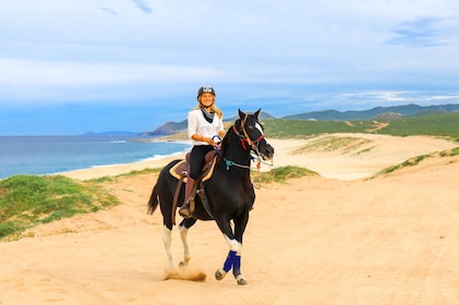 Recorrido a caballo por la playa y el desierto con recogida en el hotel en ...