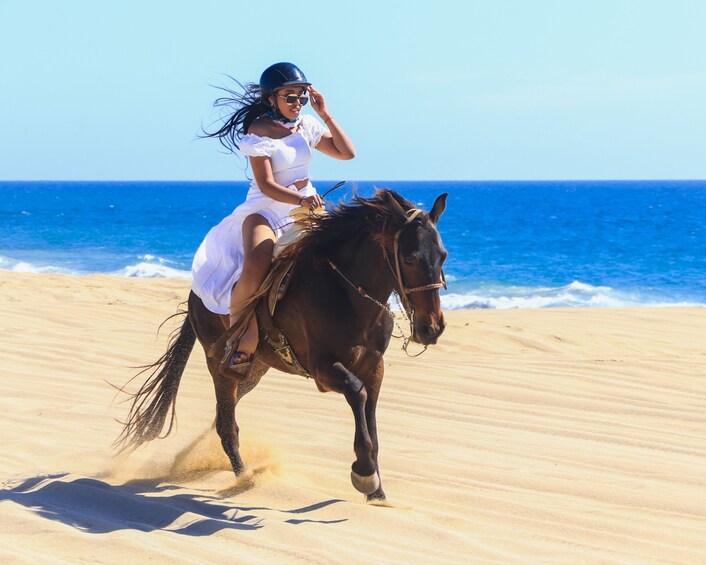 Beach Horseback Ride Beach and Dune in Los Cabos Adventure