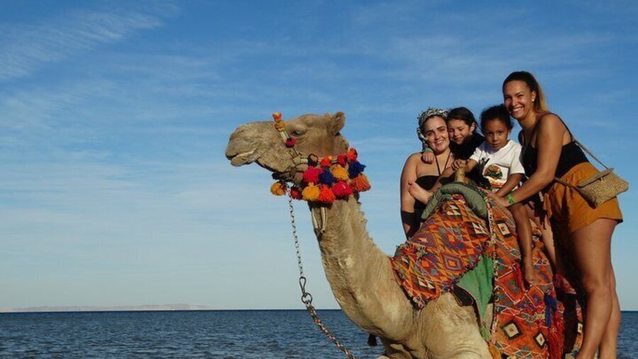 One hour Camel Ride At Amazing Marsa Alam Desert with transfer - Marsa Alam