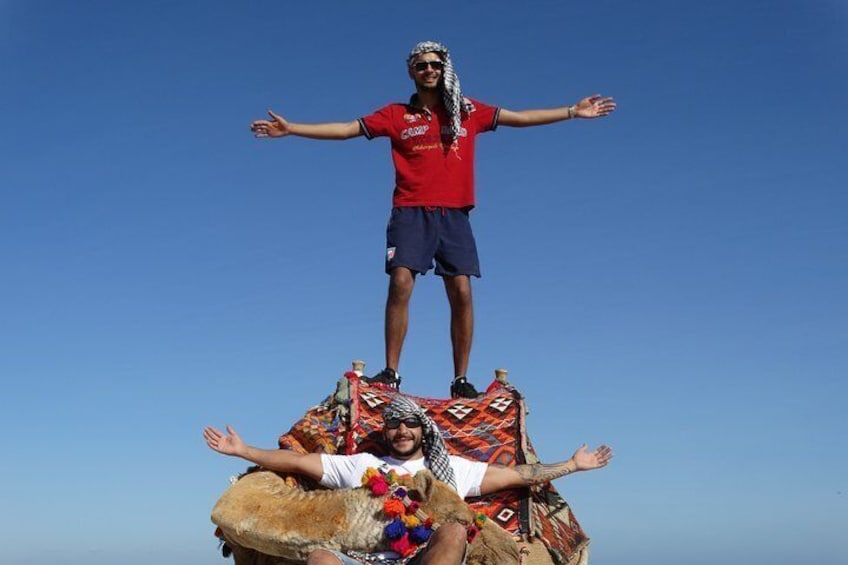 One hour Camel Ride At Amazing Desert - Marsa Alam