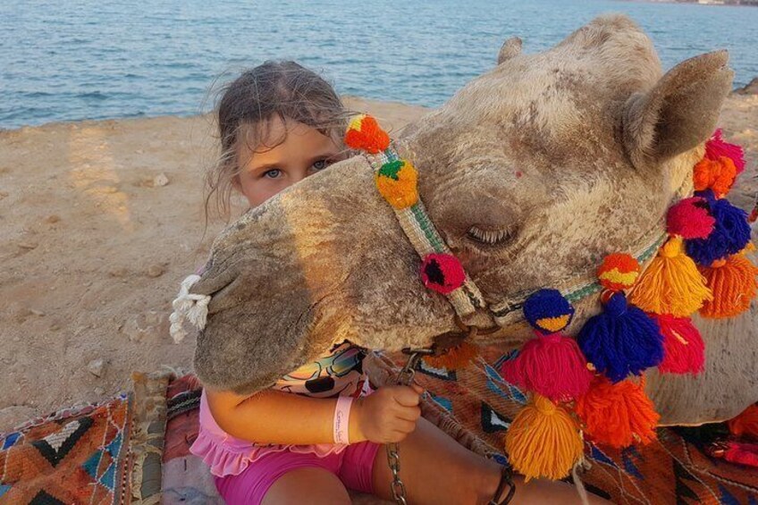 One hour Camel Ride At Amazing Desert - Marsa Alam