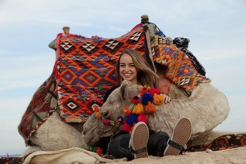 One hour Camel Ride At Amazing Desert - Marsa Alam