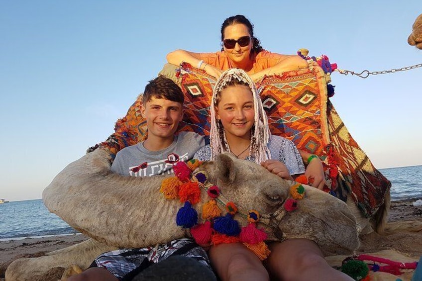 One hour Camel Ride At Amazing Desert - Marsa Alam