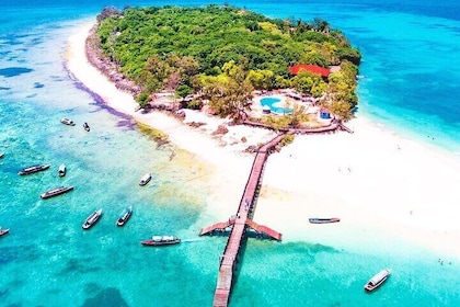 Prison Island, BlueLagoon, Starfish Tour, Rock Restaurant, Kuza Cave, Paje ...
