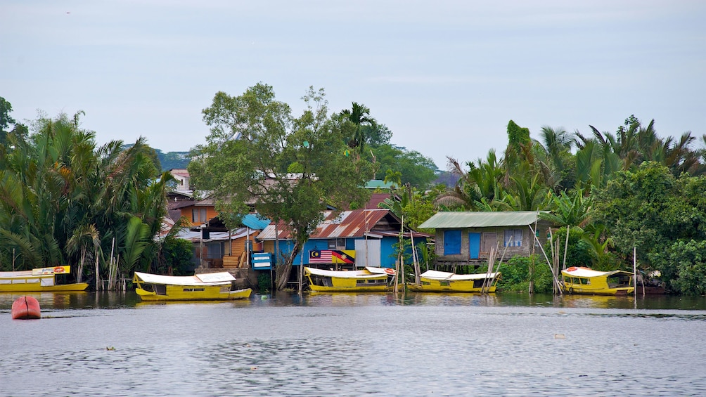 Serene view on the Sarawak River Sunset Cruise 
