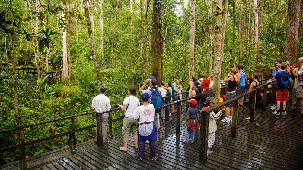 Group on the tour of the Semenggoh Nature Reserve in Malaysia 