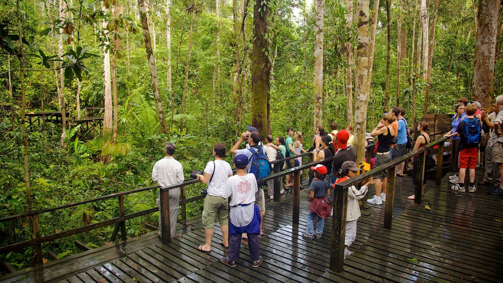 Group on the tour of the Semenggoh Nature Reserve in Malaysia